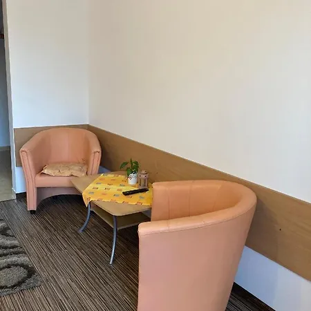 埃琳娜别墅旅馆 斯米扎尼