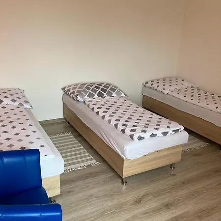 埃琳娜别墅旅馆 斯米扎尼