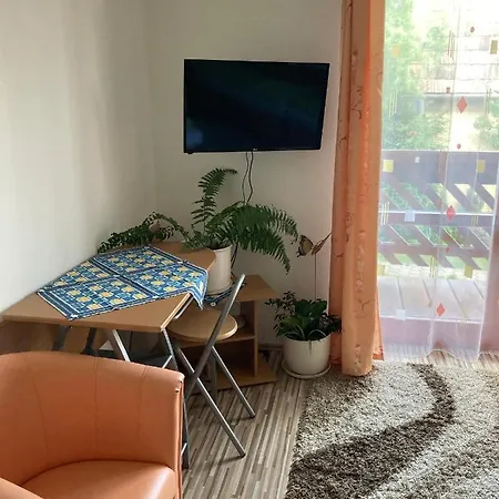 埃琳娜别墅旅馆