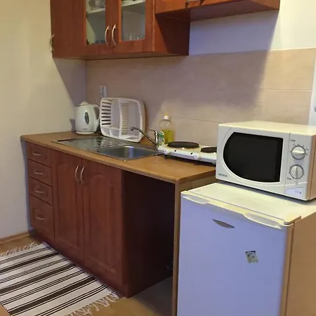 Elena Penzion Smižany