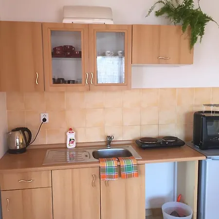 Elena Affittacamere